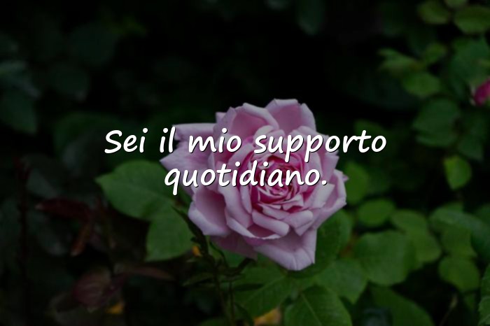 Immagini con auguri amica compleanno - 12
