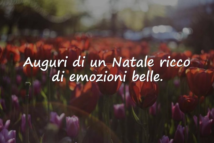 Immagini con auguri di buon natale frasi - 6