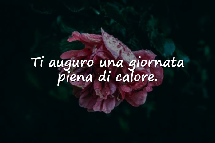 Immagini con auguri di buon natale frasi - 20