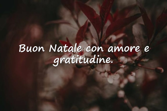 Immagini con auguri di buon natale frasi - 5