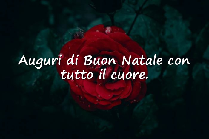 Immagini con auguri di buon natale frasi - 1
