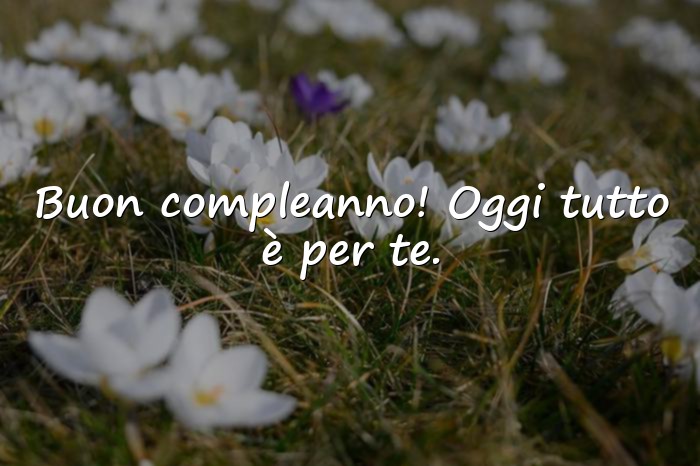 Immagini con auguri di compleanno - 11
