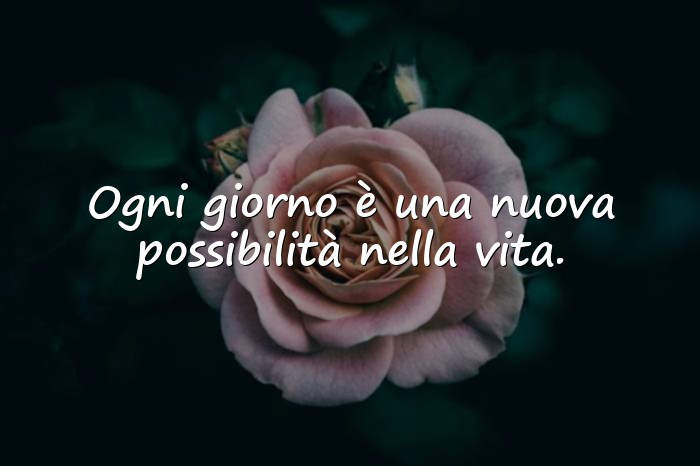 Immagini con auguri di matrimonio frasi - 23