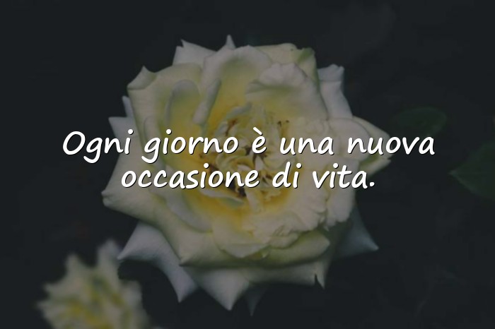 Immagini con auguri di matrimonio frasi - 1