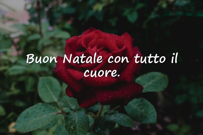 Immagini con auguri di natale bellissimi - 17