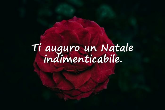 Immagini con auguri di natale bellissimi - 12