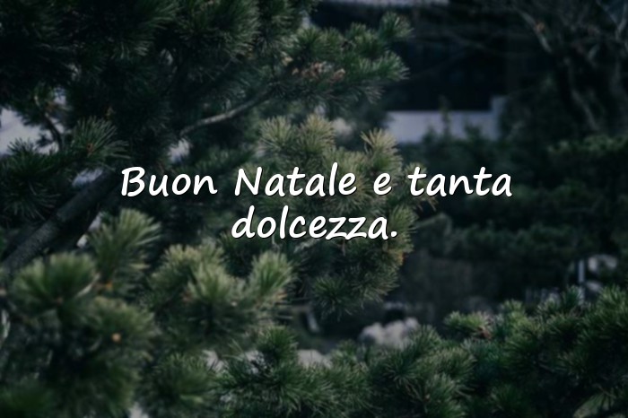 Immagini con auguri di natale bellissimi - 2