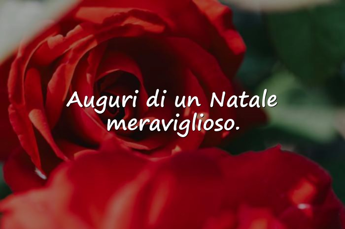 Immagini con auguri di natale bellissimi - 23