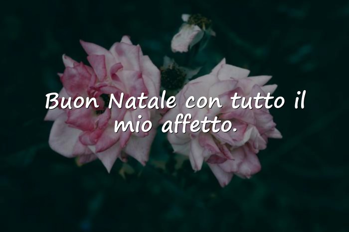 Immagini con auguri di natale bellissimi - 14