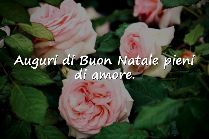 Immagini con auguri di natale frasi - 5
