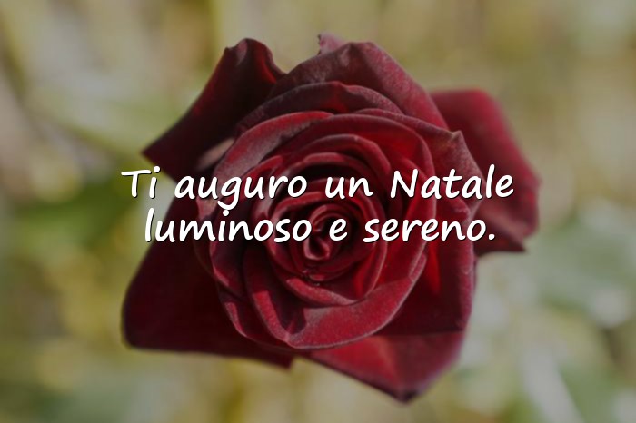 Immagini con auguri di natale frasi - 21