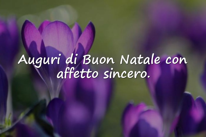 Immagini con auguri di natale frasi - 1