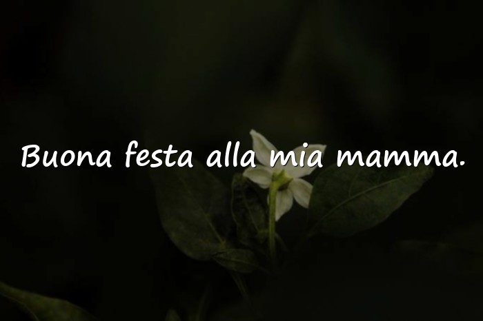 Immagini con auguri festa mamma - 7