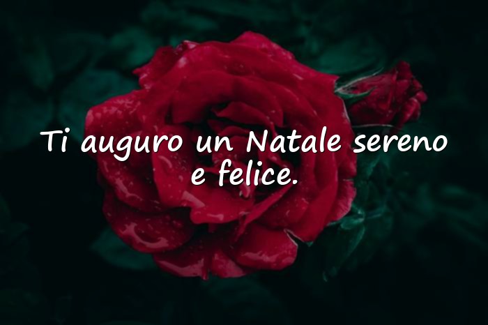 Immagini con Auguri Natalizi - 13