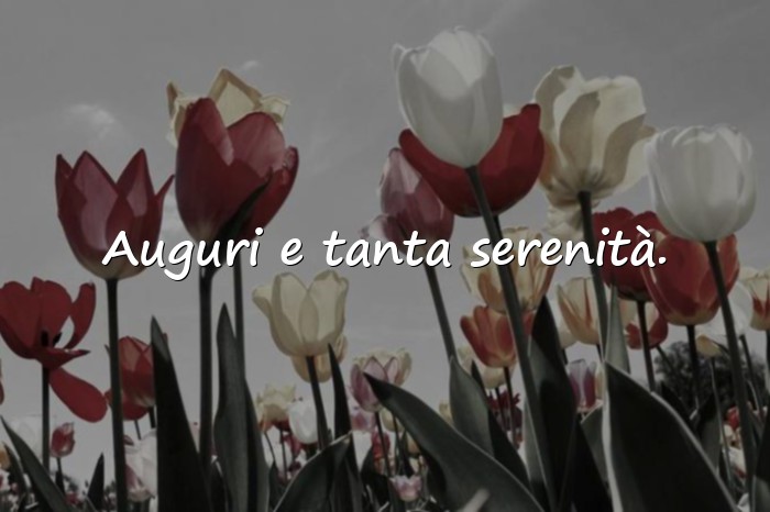 Immagini con auguri per il compleanno - 20