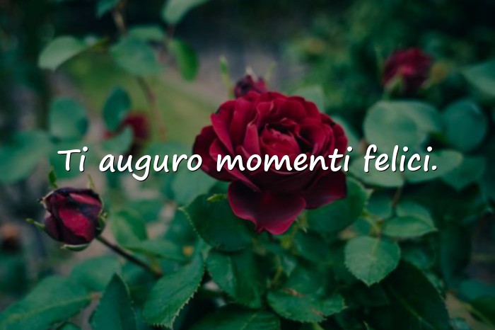 Immagini con auguri per il compleanno - 10