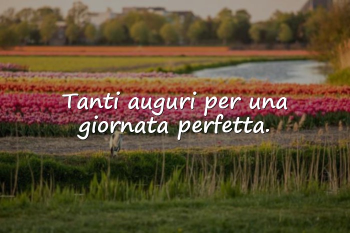 Immagini con auguri per il compleanno - 15