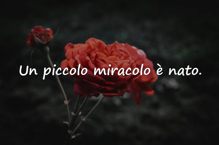 Immagini con auguri per la nascita - 23