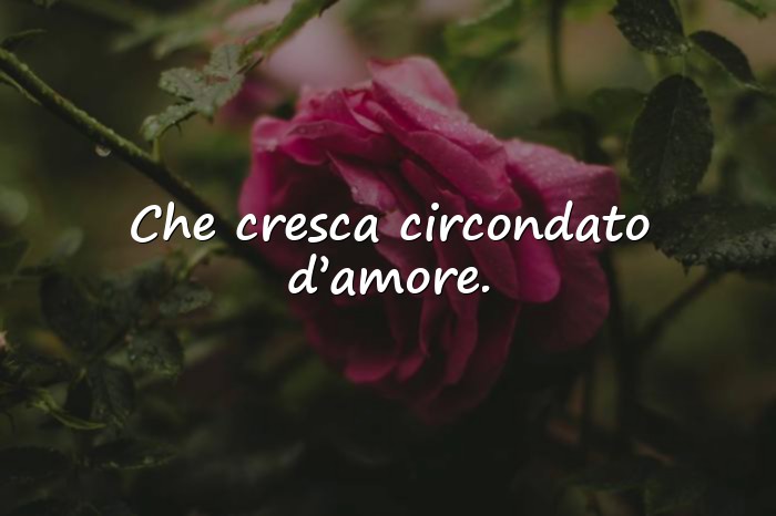 Immagini con auguri per la nascita - 9