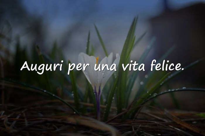 Immagini con auguri per la nascita - 6