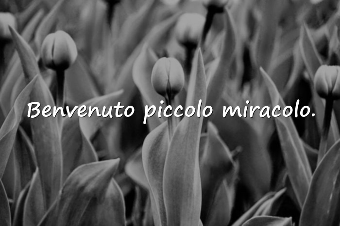 Immagini con auguri per la nascita - 1