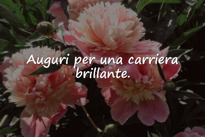 Immagini con auguri per laurea - 22