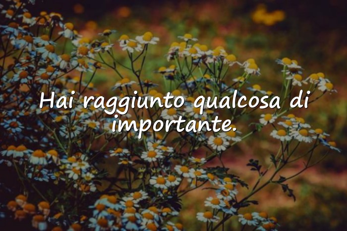 Immagini con auguri per laurea - 11