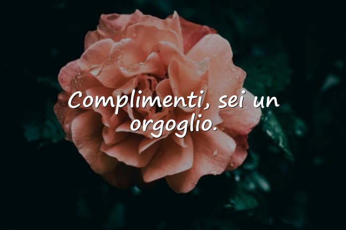 Immagini con auguri per laurea - 4