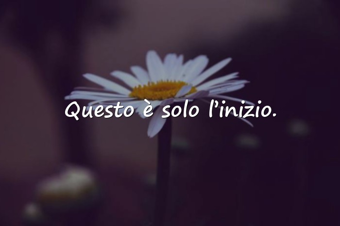 Immagini con auguri per laurea frasi - 6