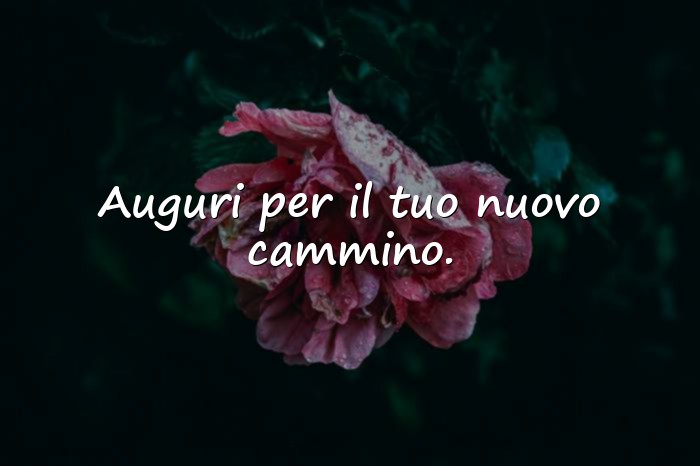 Immagini con auguri per laurea frasi - 2