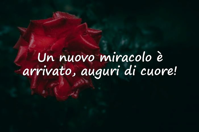 Immagini con auguri per laurea frasi - 10