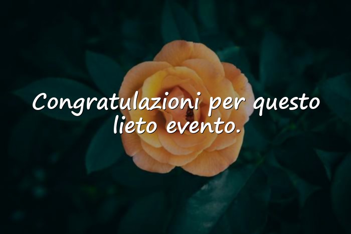 Immagini con auguri per laurea frasi - 5