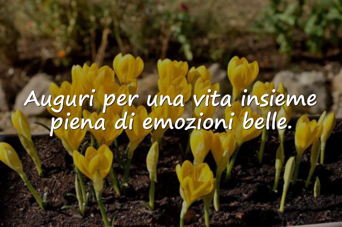 Immagini con auguri per matrimonio frasi - 10