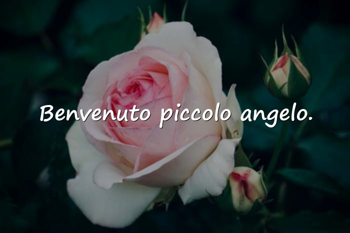 Immagini con auguri per nascita - 17