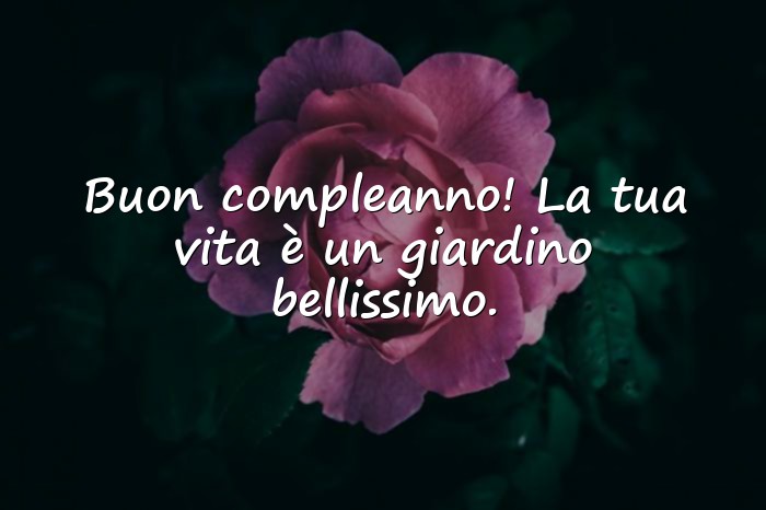 Immagini con buon compleanno fiori - 11