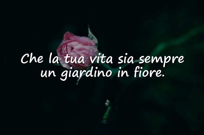 Immagini con buon compleanno fiori - 1