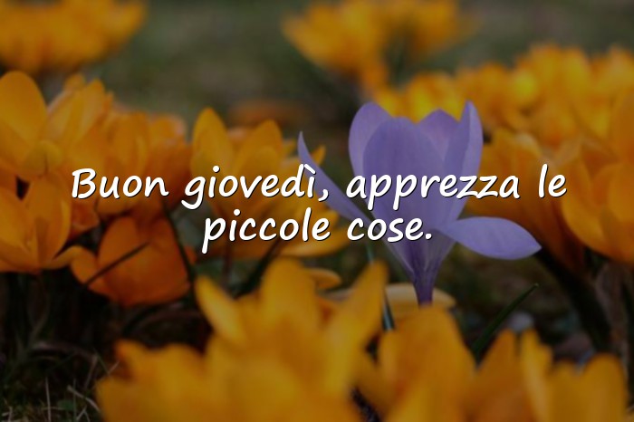 Immagini con buon giovedi - 18