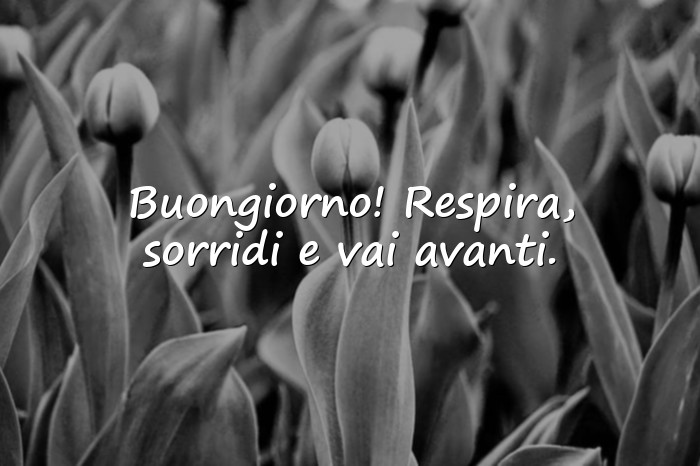 Immagini con buon onomastico - 6