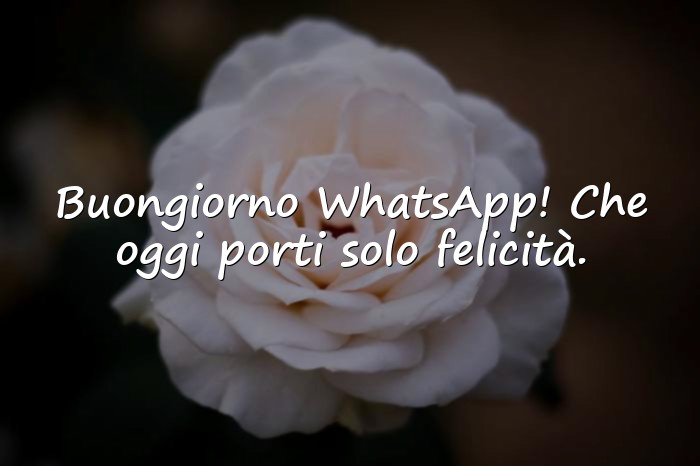 Immagini con buon onomastico - 1