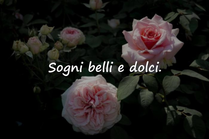 Immagini con buonanotte frasi - 1