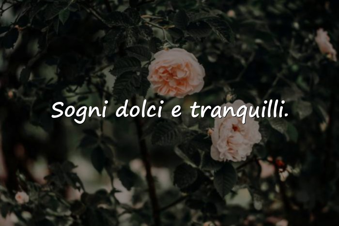 Immagini con buonanotte frasi - 11