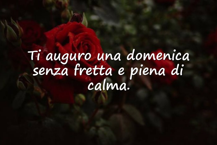 Immagini con buongiorno buona domenica - 21