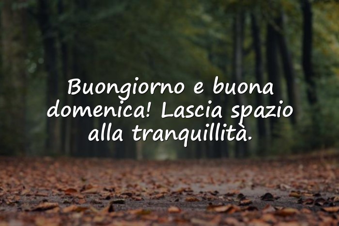Immagini con buongiorno buona domenica - 16