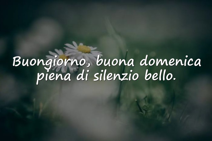 Immagini con buongiorno buona domenica - 6