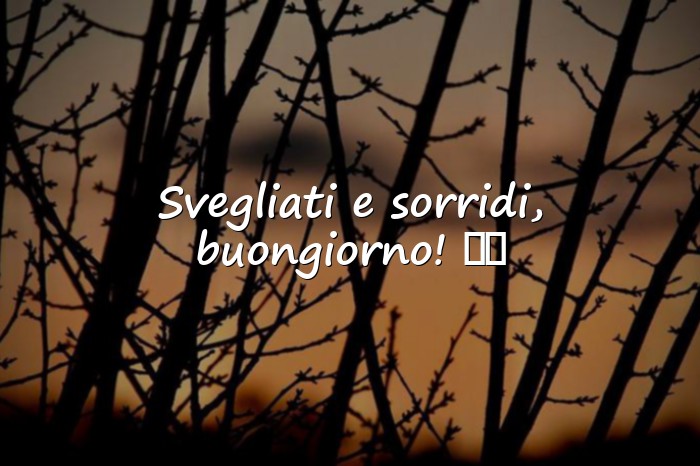 Immagini con buongiorno whatsapp - 24