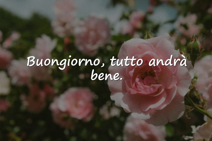 Immagini con buongiorno whatsapp - 16