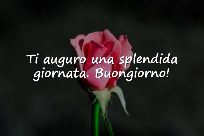 Immagini con buongiorno whatsapp - 1