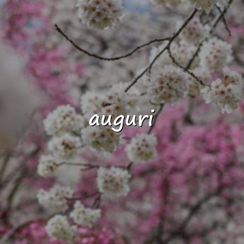 auguri - 2026