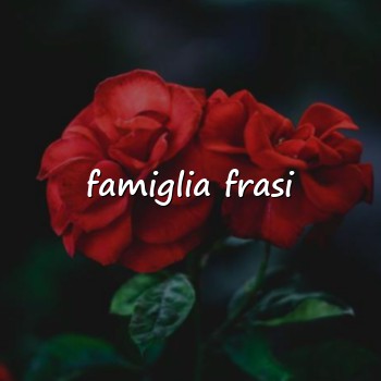 famiglia frasi - 2026