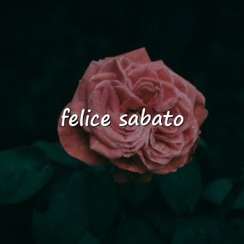 felice sabato - 2026